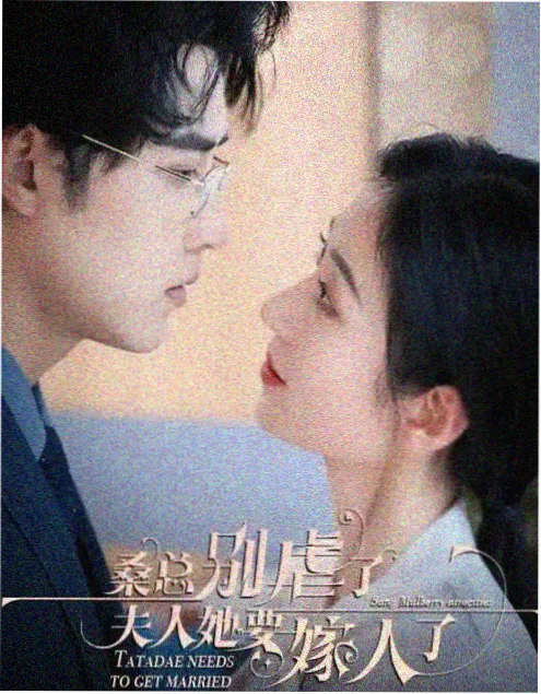 古装女性群像武侠剧 折枝记 海报